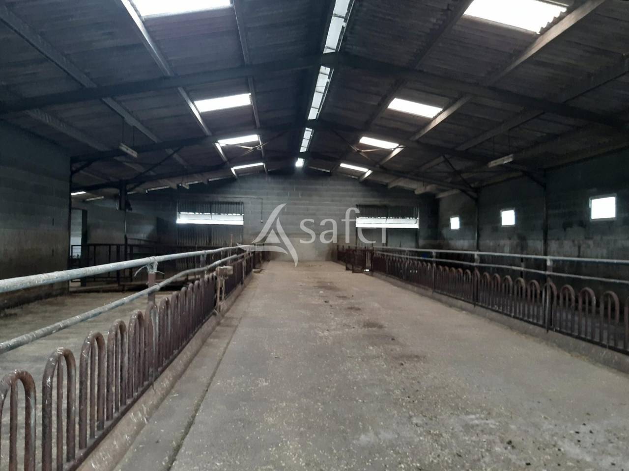 Schapen exploitatie Koop Deux-Sèvres