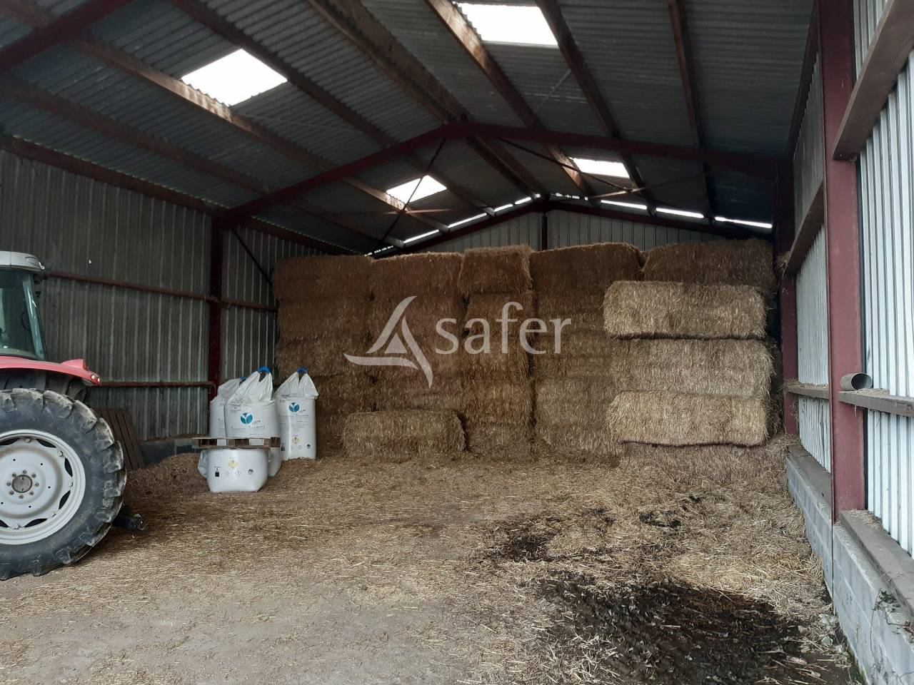 Schapen exploitatie Koop Deux-Sèvres