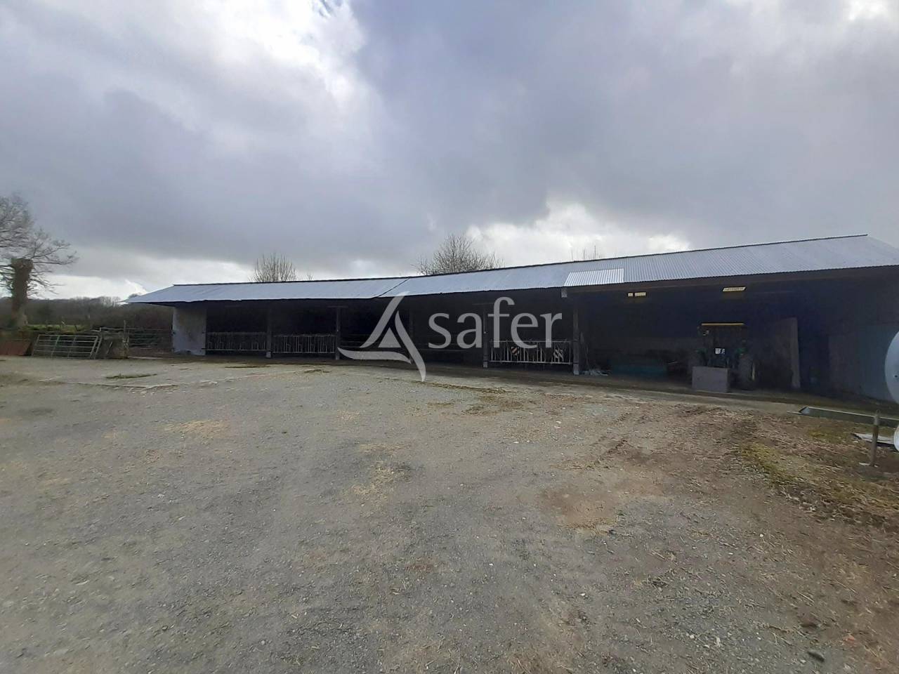 Schapen exploitatie Koop Deux-Sèvres