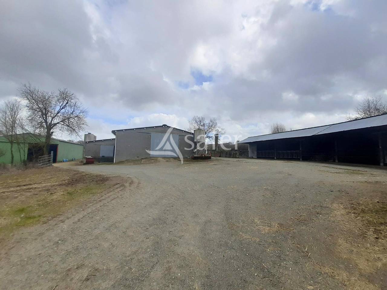 Schapen exploitatie Koop Deux-Sèvres