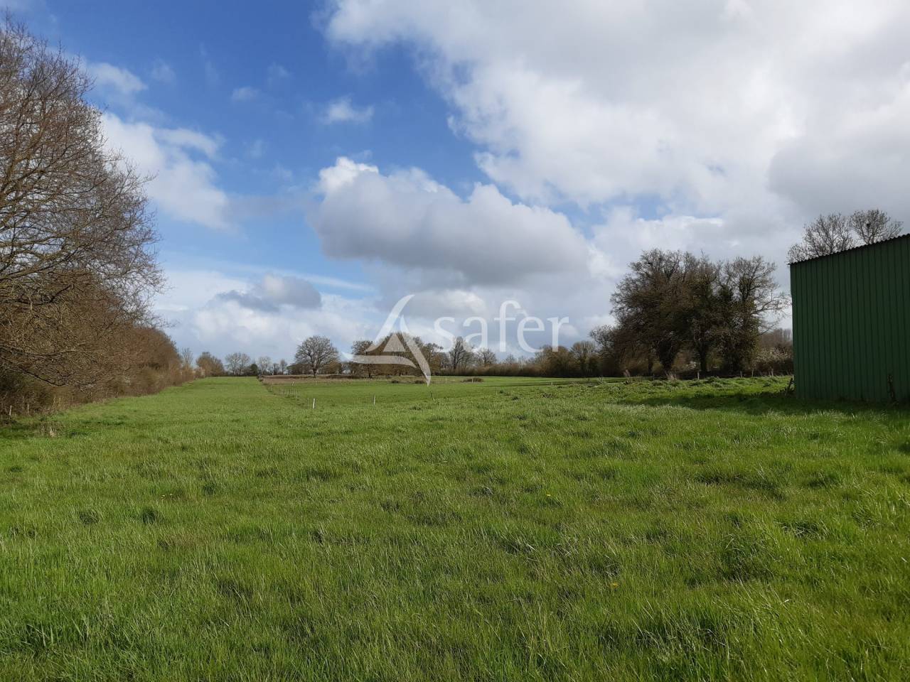 Schapen exploitatie Koop Deux-Sèvres