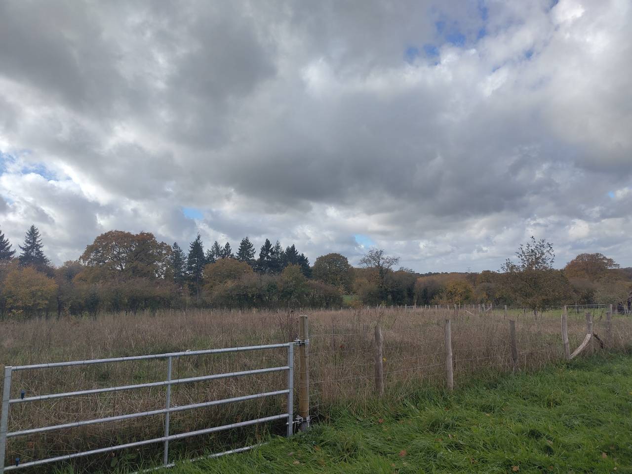 Paarden boerderij Koop Sarthe