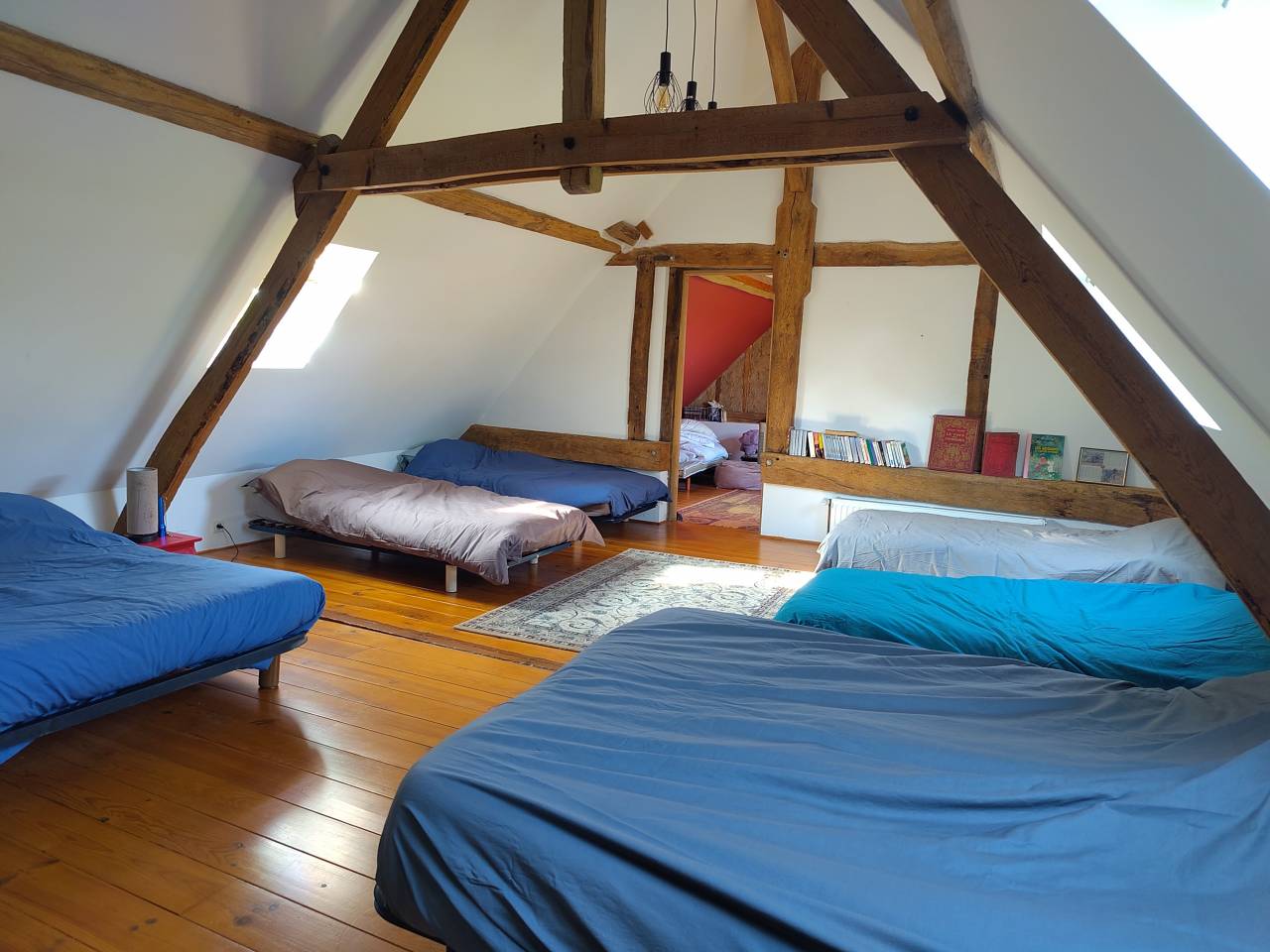 Paarden boerderij Koop Sarthe