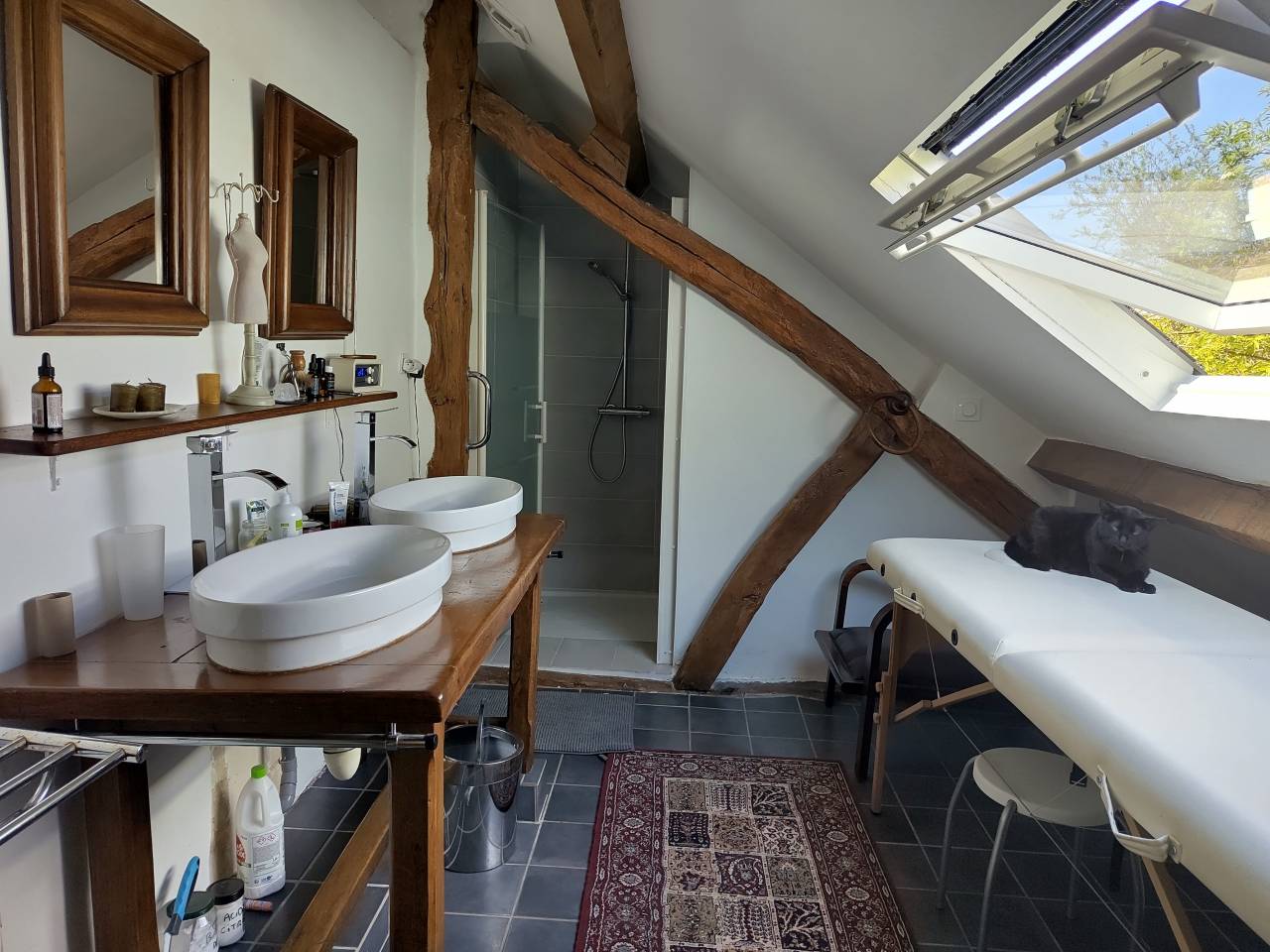 Paarden boerderij Koop Sarthe