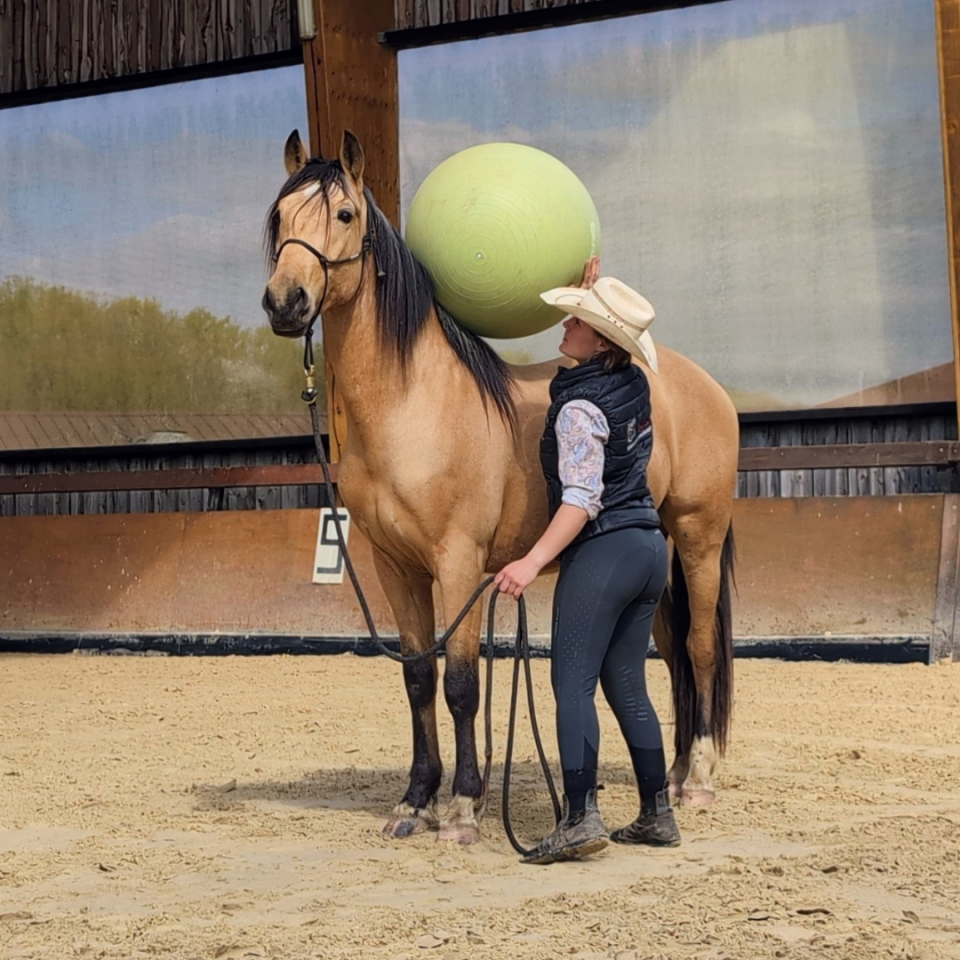 Ruin PRE Puur Ras Spaans Te koop 2021 Isabel