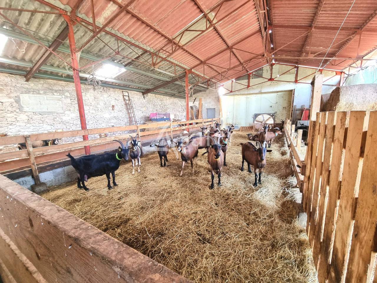 Hippisch vastgoed Koop Tarn-et-Garonne