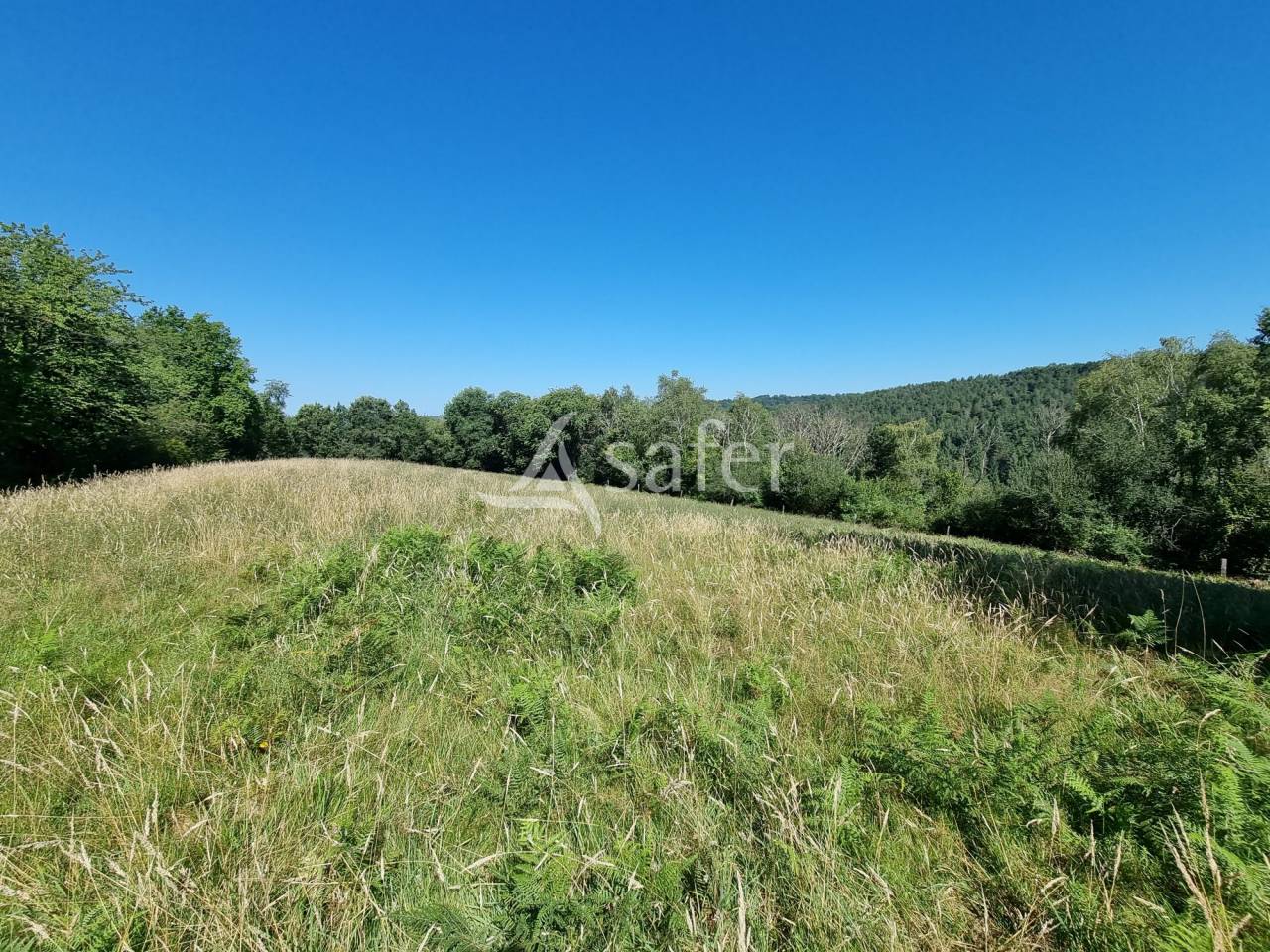 Landbouw bedrijf Koop Hautes-Pyr&eacute;n&eacute;es