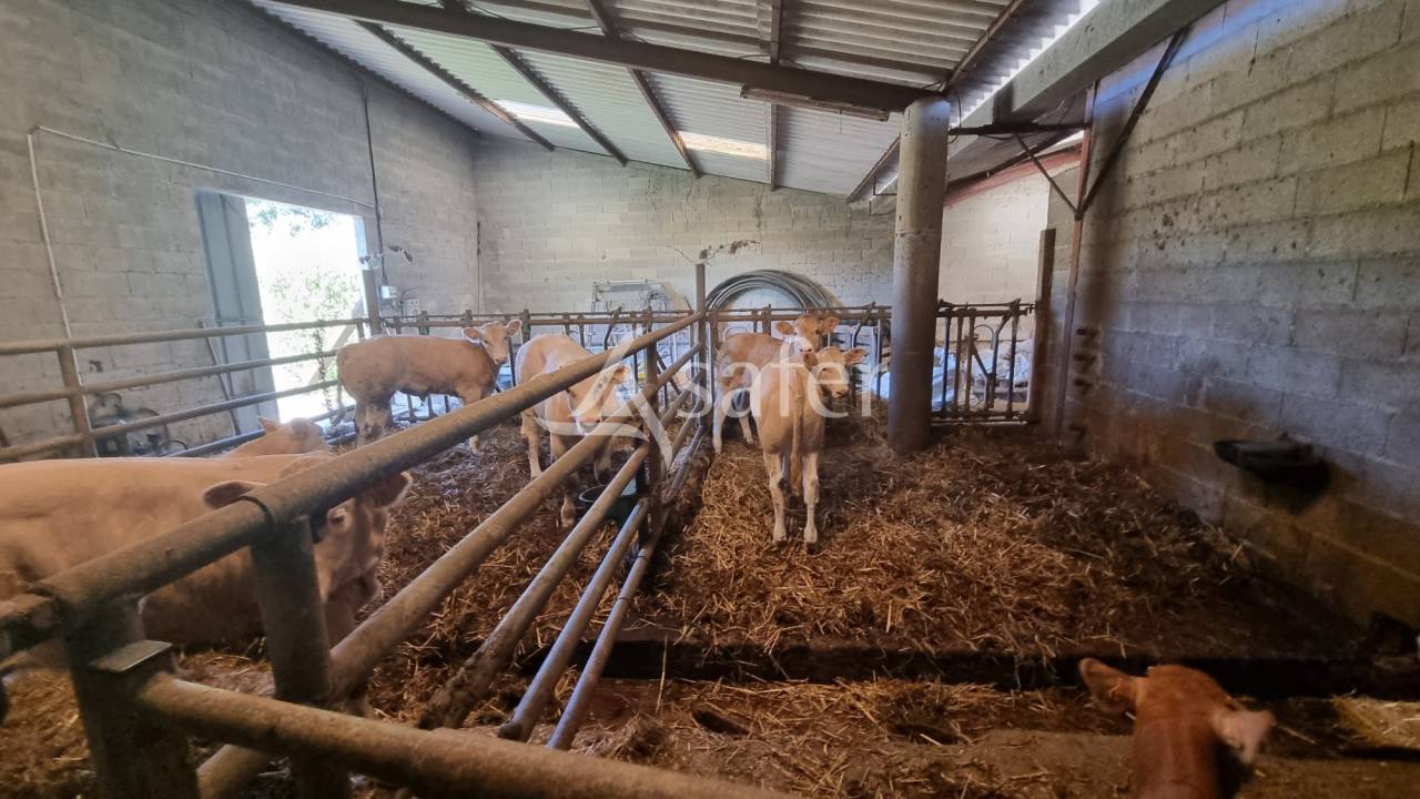 Landbouw bedrijf Koop Gers