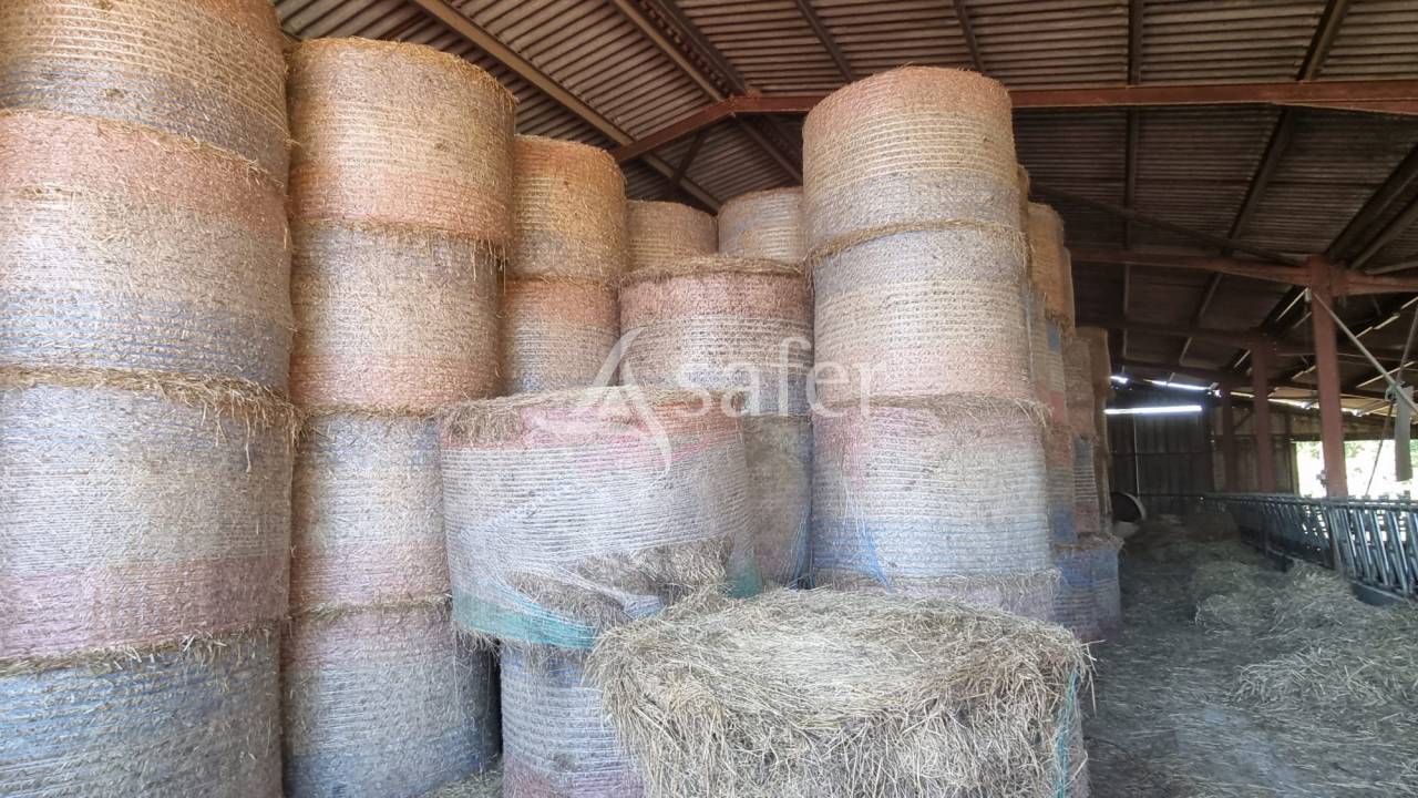 Landbouw bedrijf Koop Gers