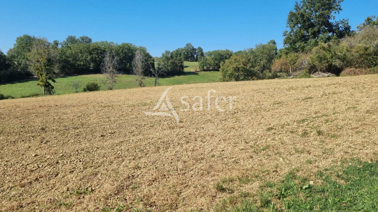 Landbouw bedrijf Koop Gers