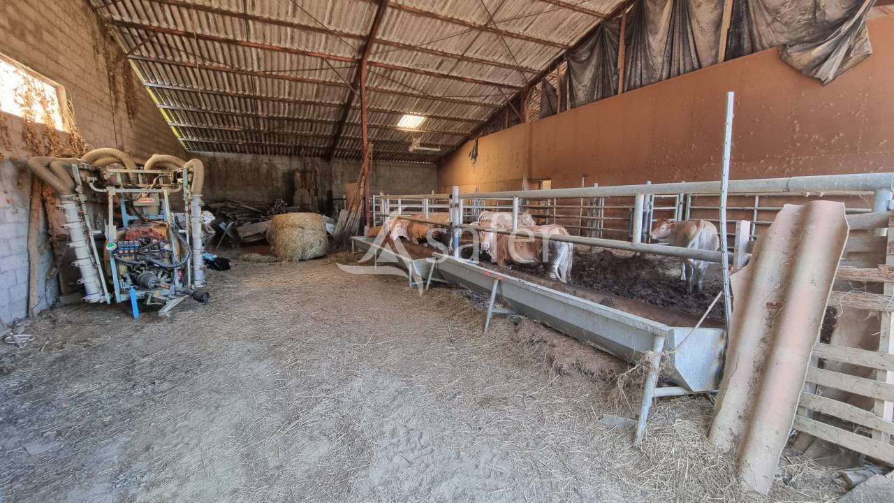 Landbouw bedrijf Koop Gers