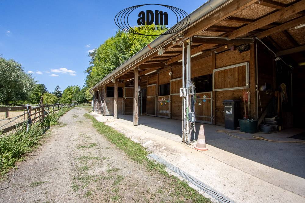 Mooi hippisch vastgoed Koop Seine-et-Marne