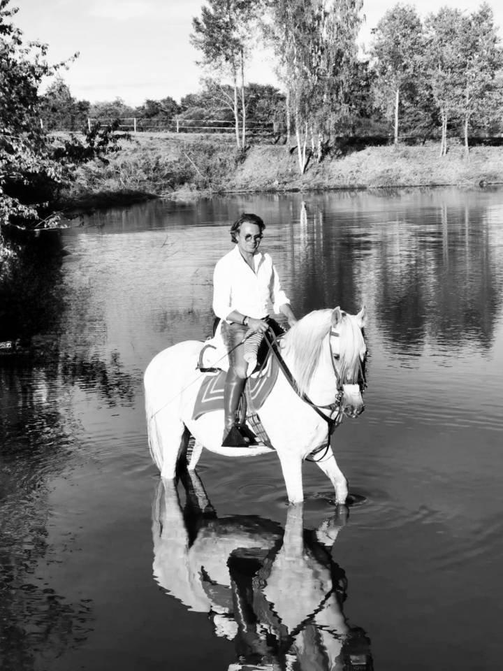 Ruin PRE Puur Ras Spaans Te koop 2008 Schimmel