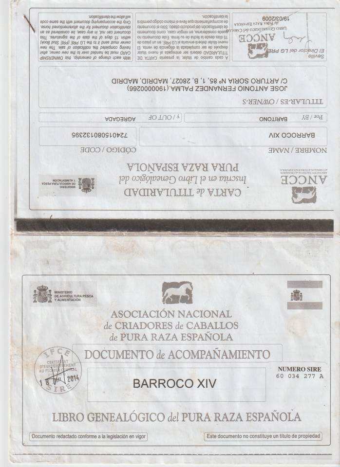 Ruin PRE Puur Ras Spaans Te koop 2008 Schimmel