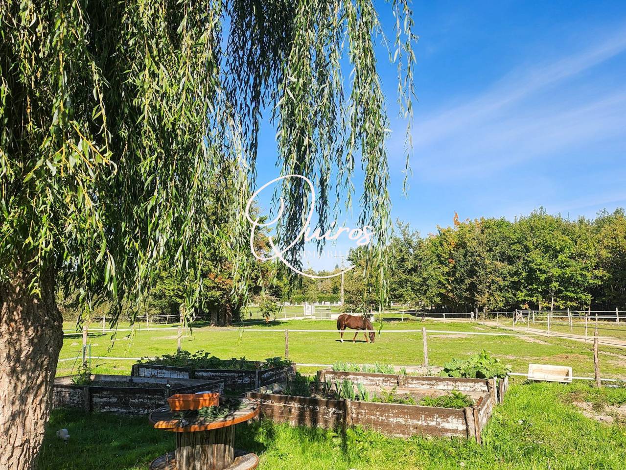 Hippisch vastgoed Koop Loir-et-Cher