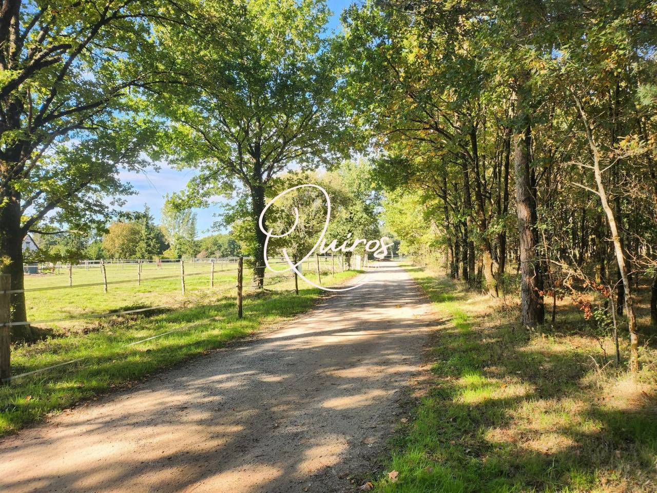 Hippisch vastgoed Koop Loir-et-Cher