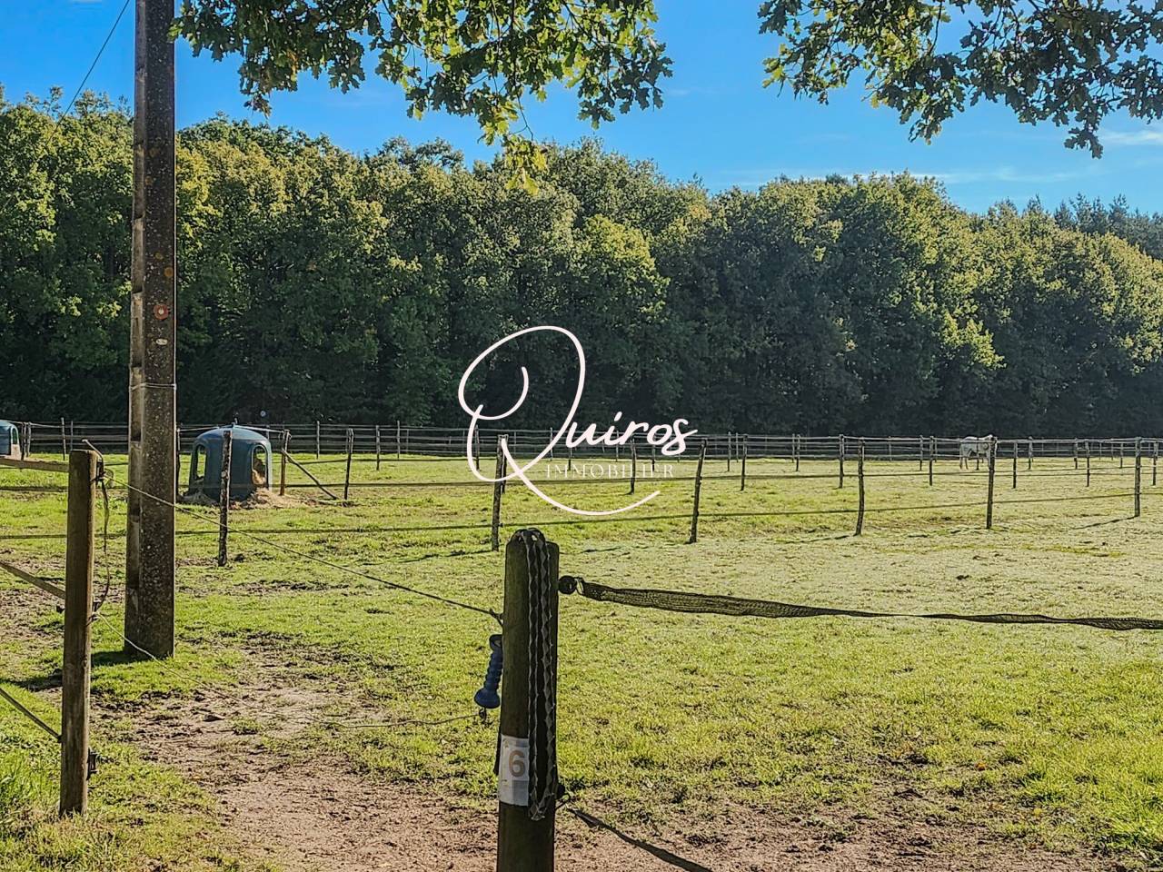 Hippisch vastgoed Koop Loir-et-Cher