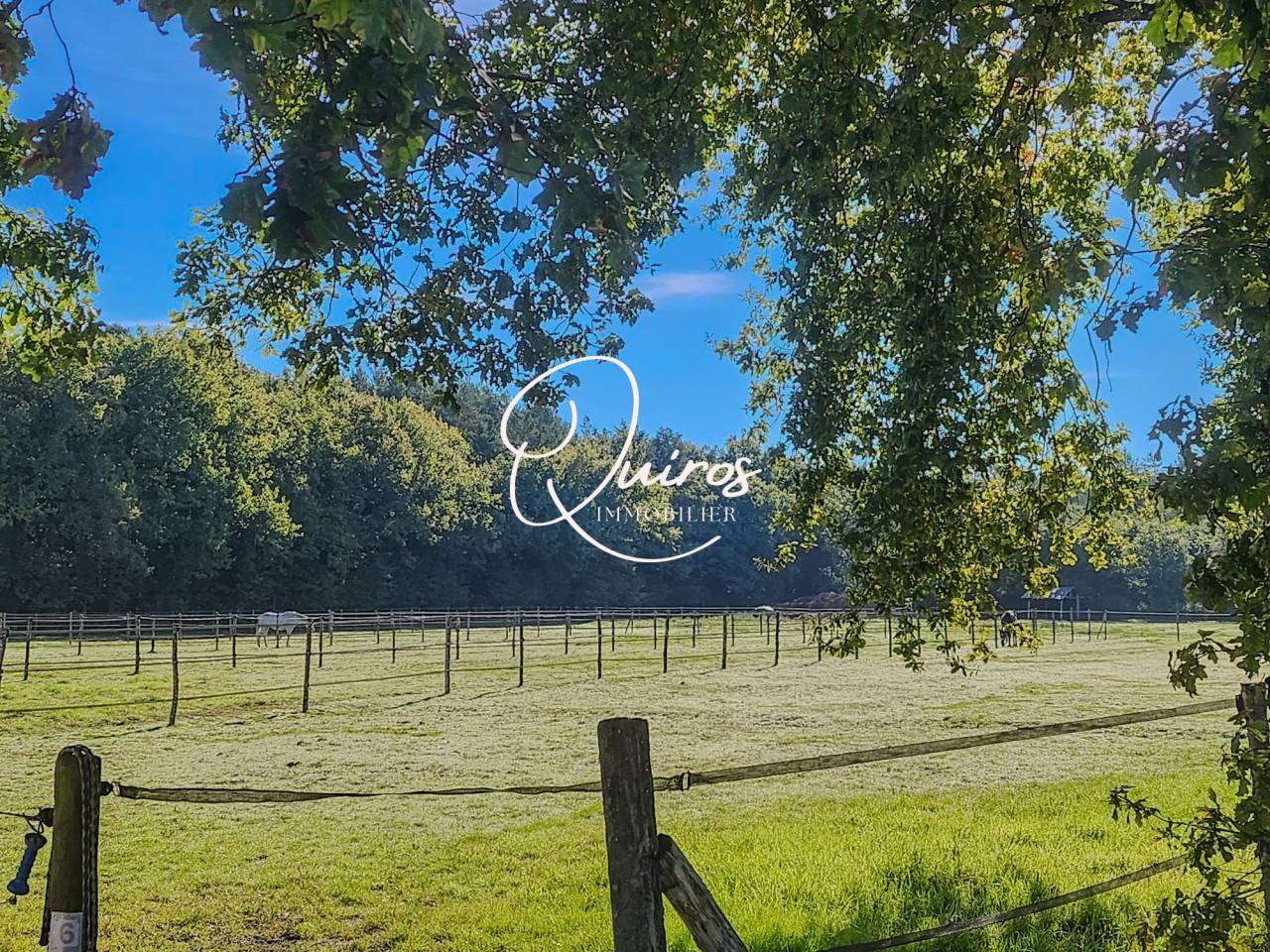 Hippisch vastgoed Koop Loir-et-Cher