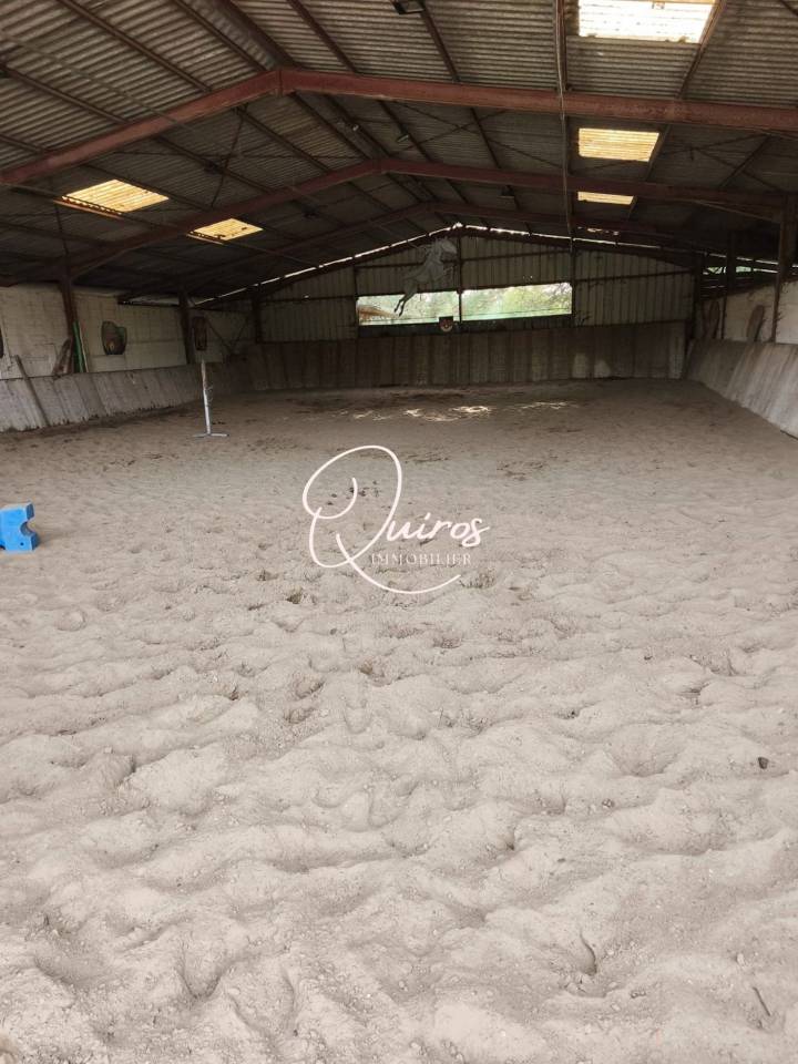 Hippisch vastgoed Koop Loir-et-Cher