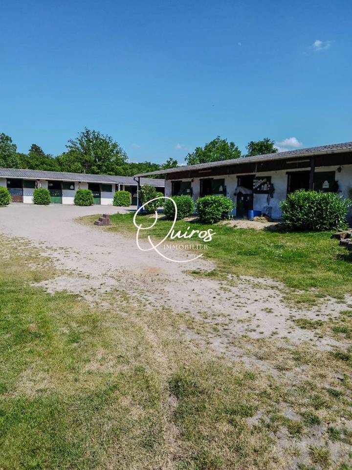 Hippisch vastgoed Koop Loir-et-Cher