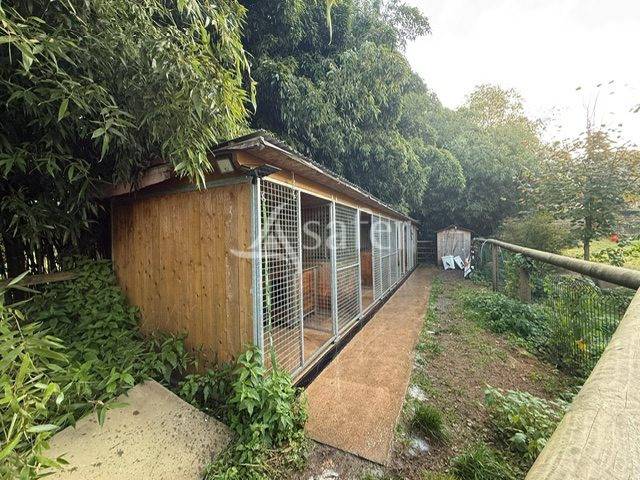 Landbouw bedrijf Koop Haute-Saône