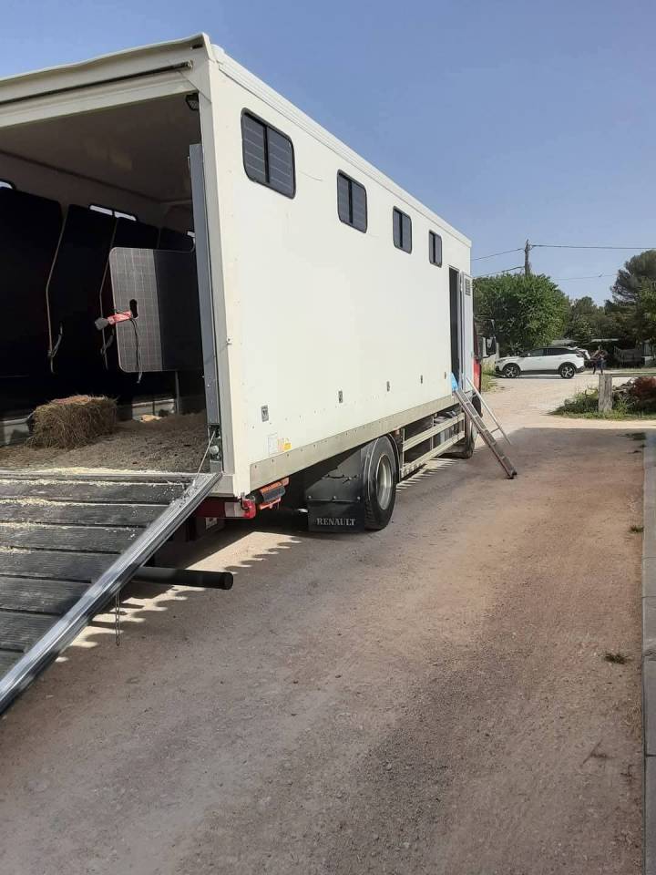 Zware paardenvrachtwagen (groot rijbewijs) Renault Premium  2010 Tweedehands