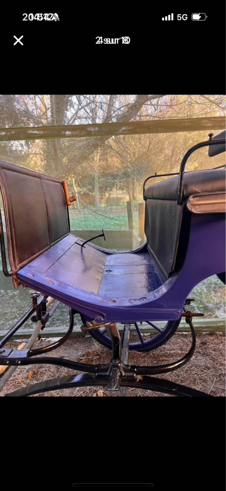 Rijtuigen - Victoria - Ander merk -  