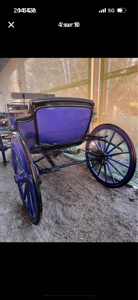 Rijtuigen - Victoria - Ander merk -  