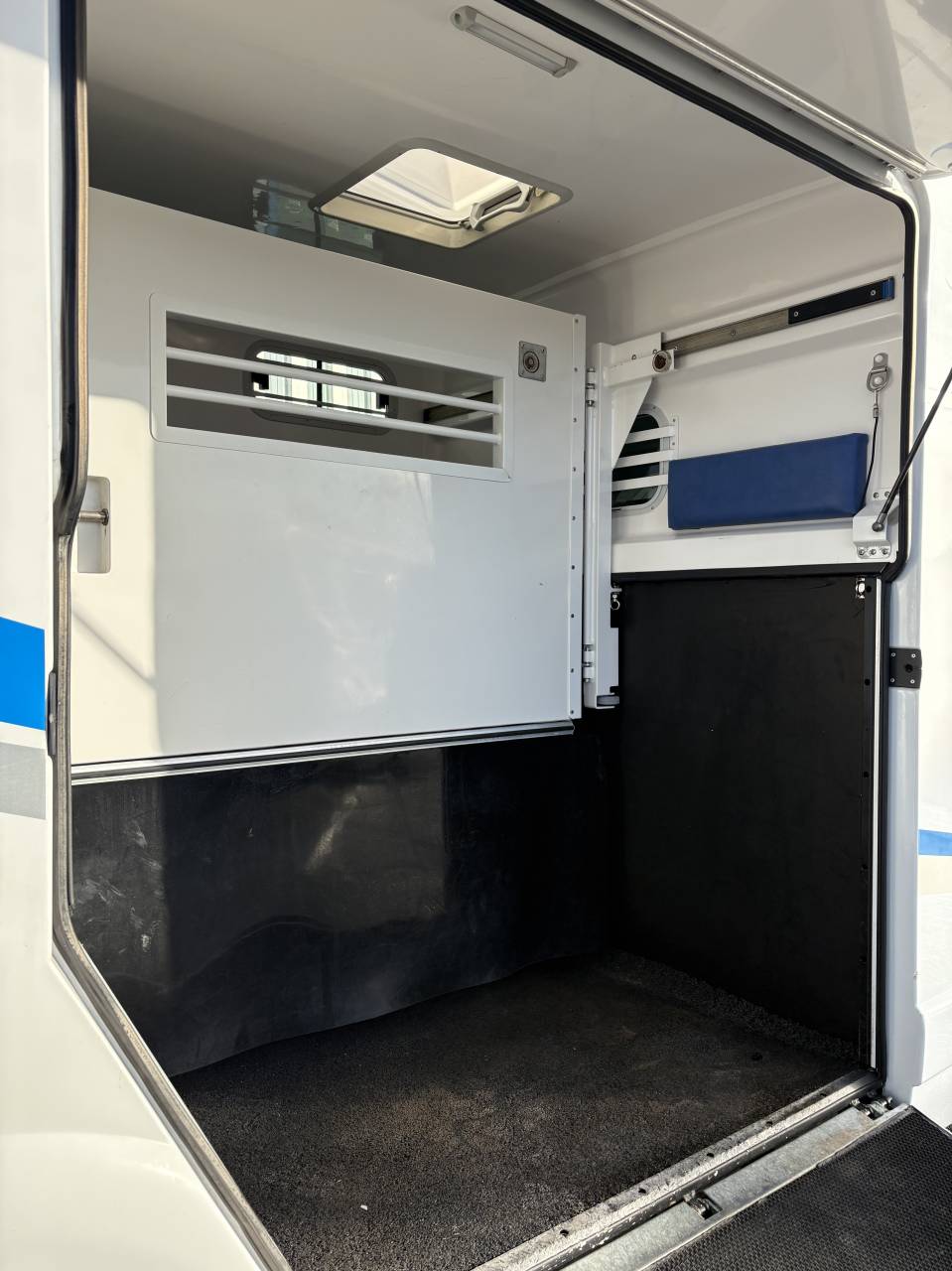 Kleine paardenvrachtwagen (B rijbewijs) Barbot D5 2021 Tweedehands
