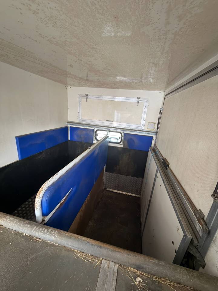 Kleine paardenvrachtwagen (B rijbewijs) Citroen Jumper 2001 Tweedehands