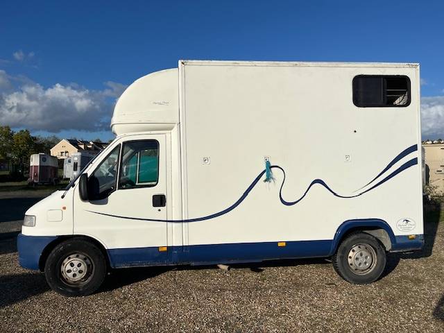 Kleine paardenvrachtwagen (B rijbewijs) Citroen Jumper 2001 Tweedehands