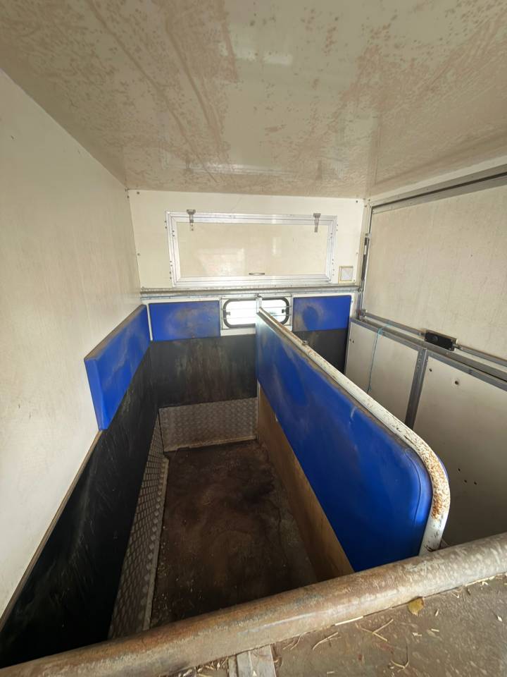 Kleine paardenvrachtwagen (B rijbewijs) Citroen Jumper 2001 Tweedehands