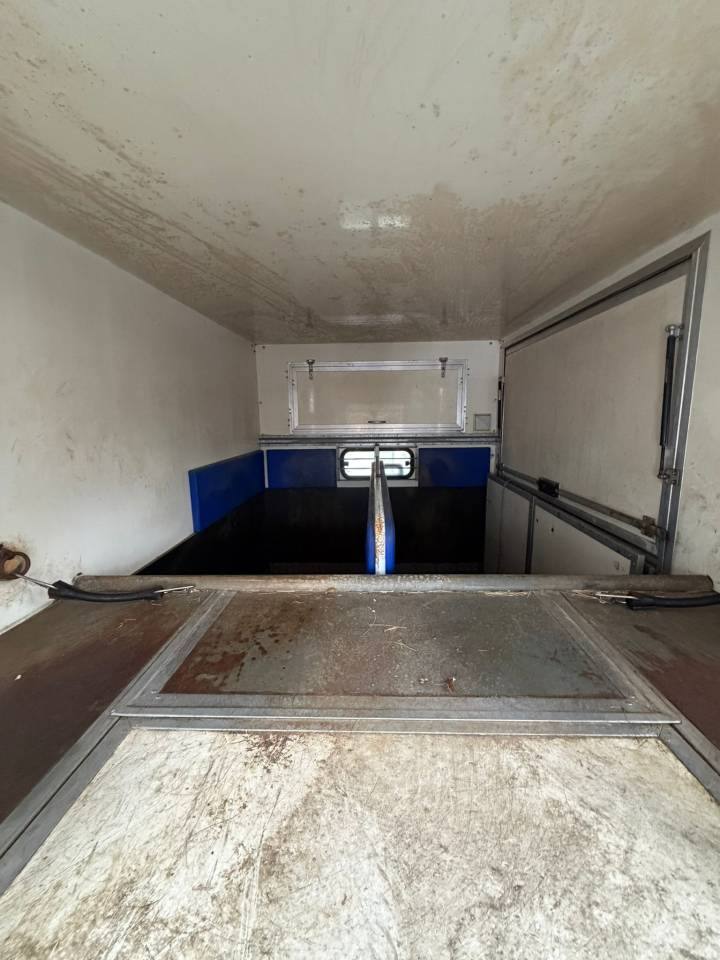 Kleine paardenvrachtwagen (B rijbewijs) Citroen Jumper 2001 Tweedehands