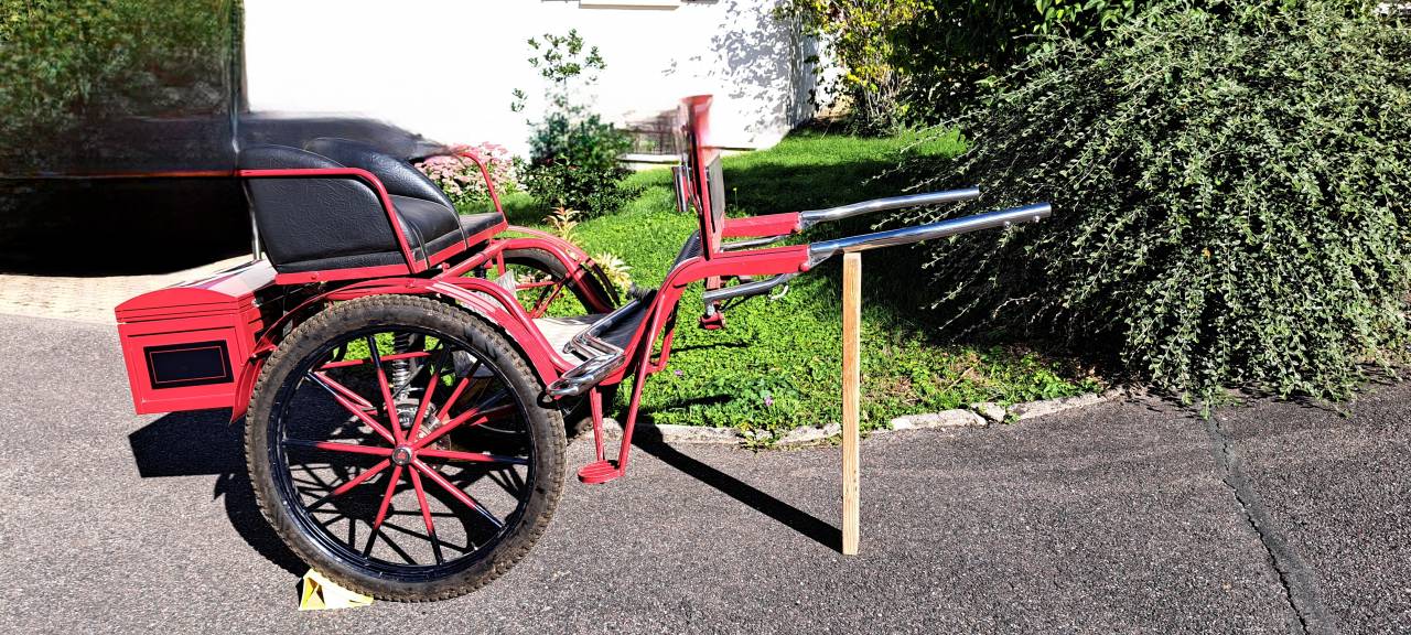 Rijtuigen - Gig - Ander merk - Gig d'attelage 