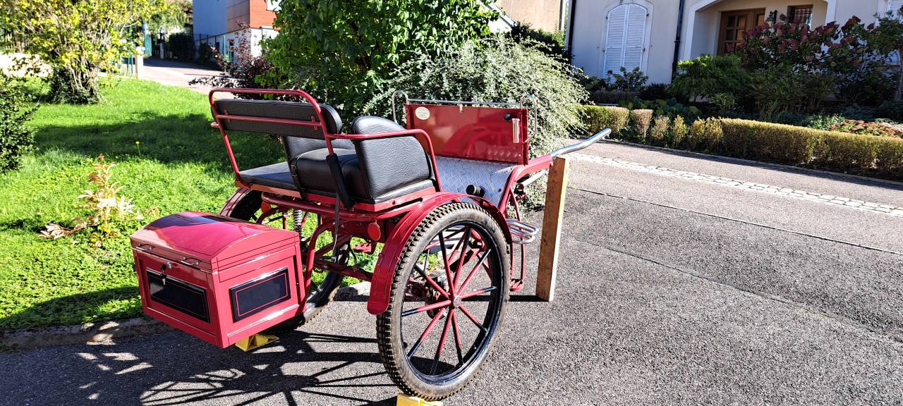 Rijtuigen - Gig - Ander merk - Gig d'attelage 