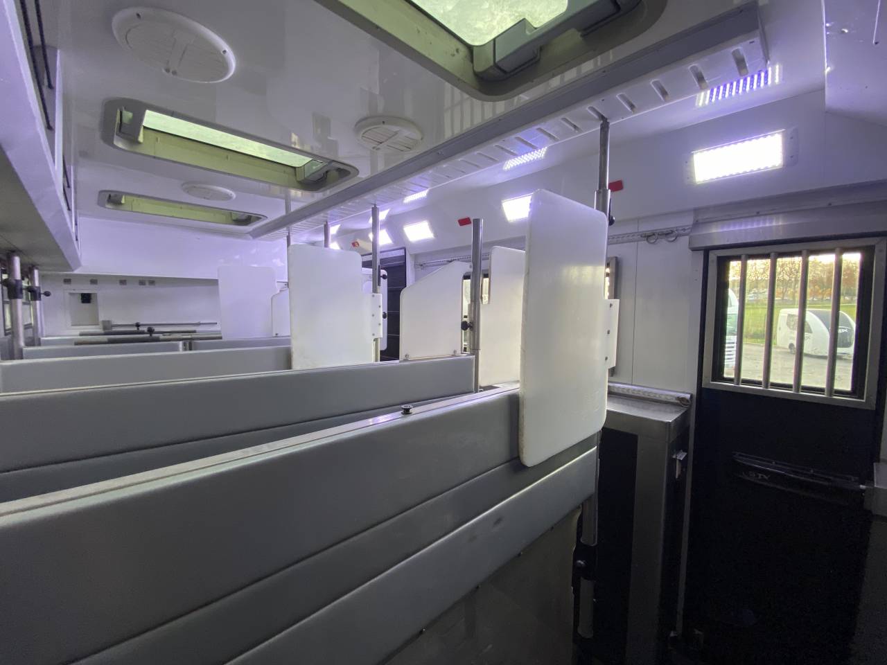 Zware paardenvrachtwagen (groot rijbewijs) STX  2014 Tweedehands