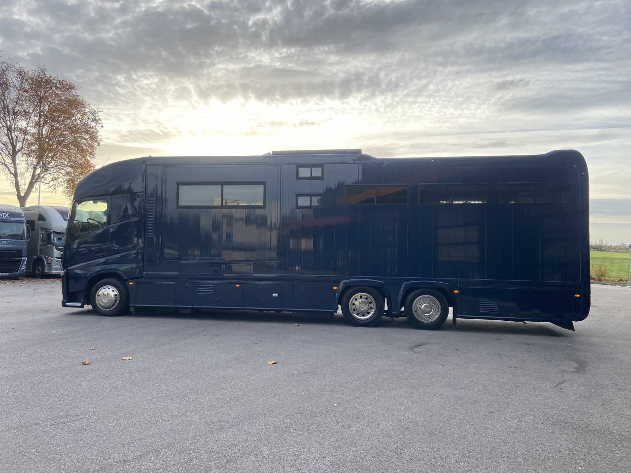 Zware paardenvrachtwagen (groot rijbewijs) STX  2014 Tweedehands