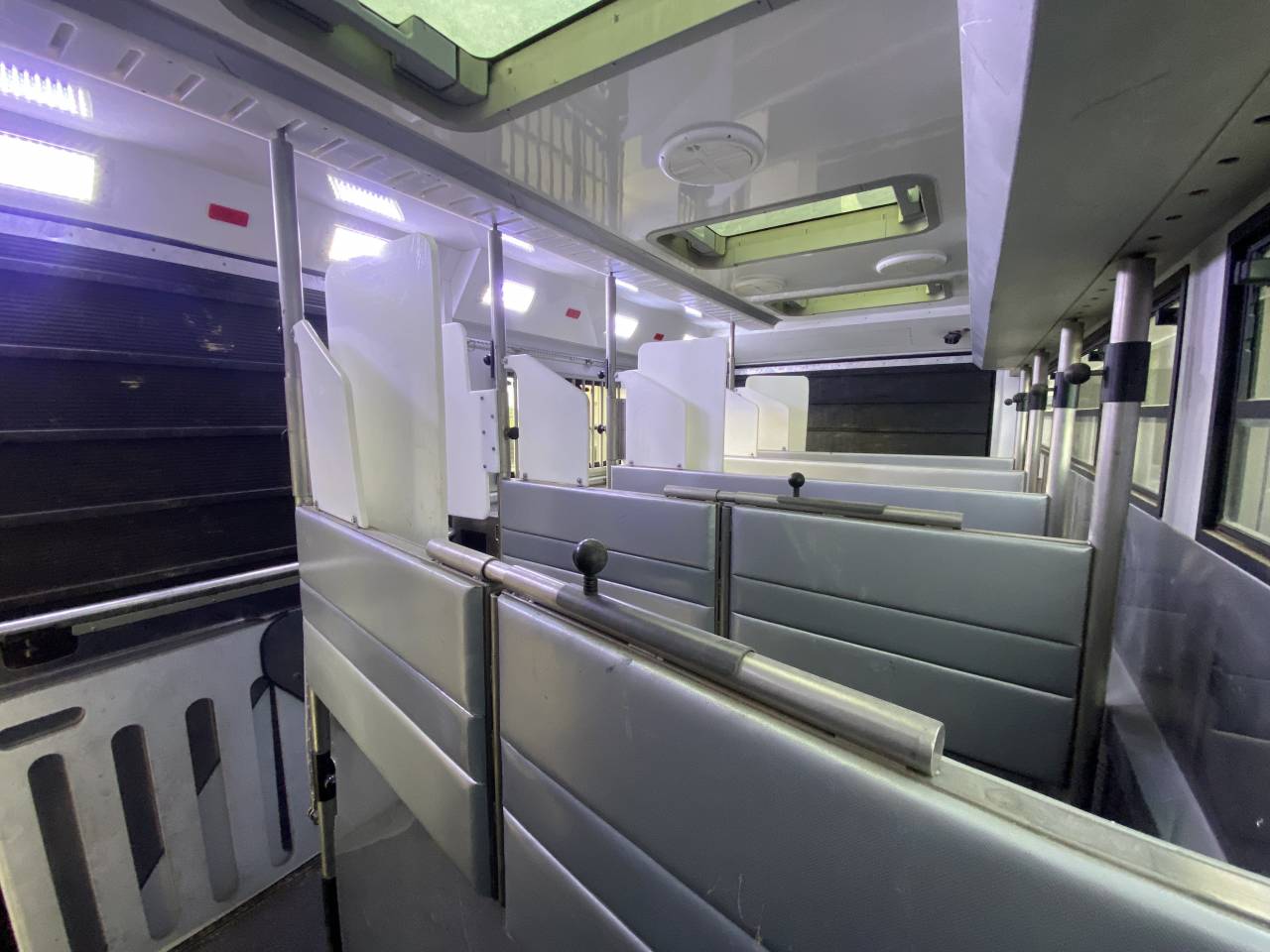 Zware paardenvrachtwagen (groot rijbewijs) STX  2014 Tweedehands