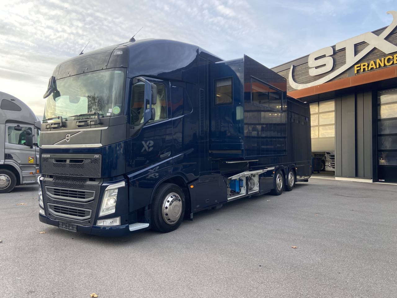 Zware paardenvrachtwagen (groot rijbewijs) STX  2014 Tweedehands