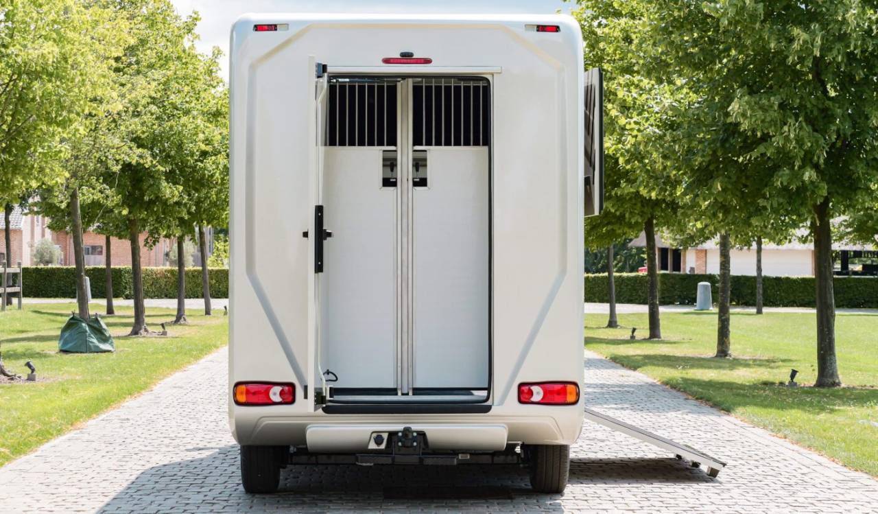 Kleine paardenvrachtwagen (B rijbewijs) AKX Akx stallion 2025 Nieuw