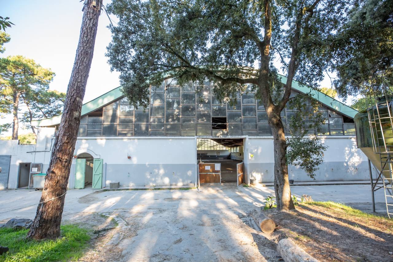 Ruiterclub Koop Charente-Maritime