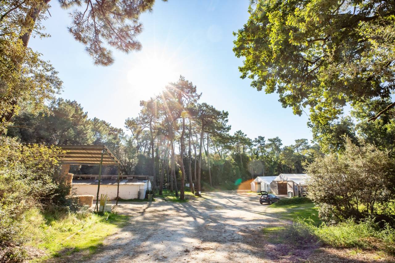 Ruiterclub Koop Charente-Maritime