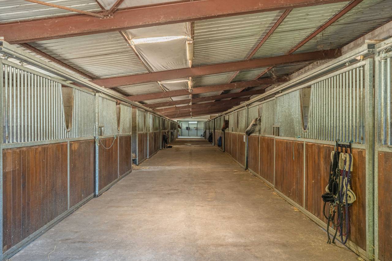 Eigenaren stal Koop Yvelines