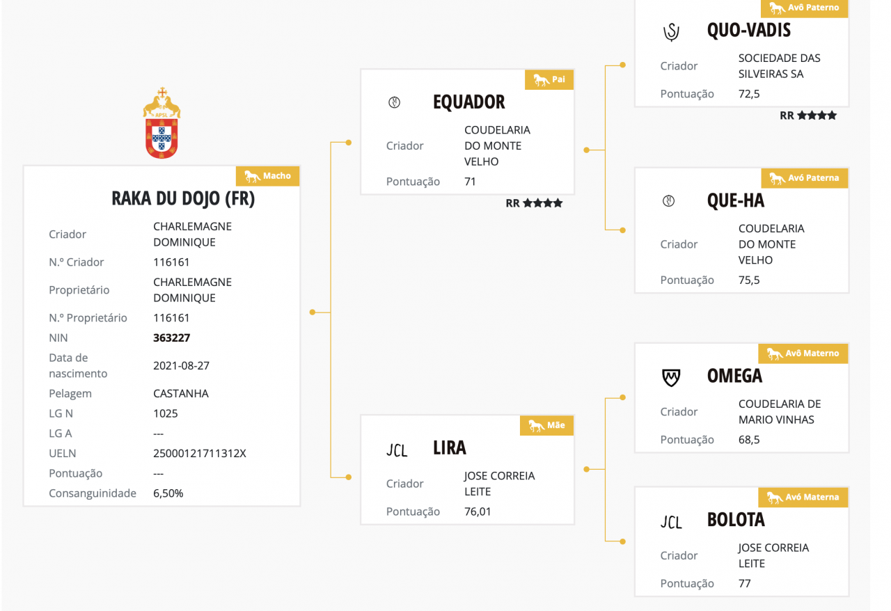 Hengst Lusitano Te koop 2021 Donker bruin / bai ,  EQUADOR MVL