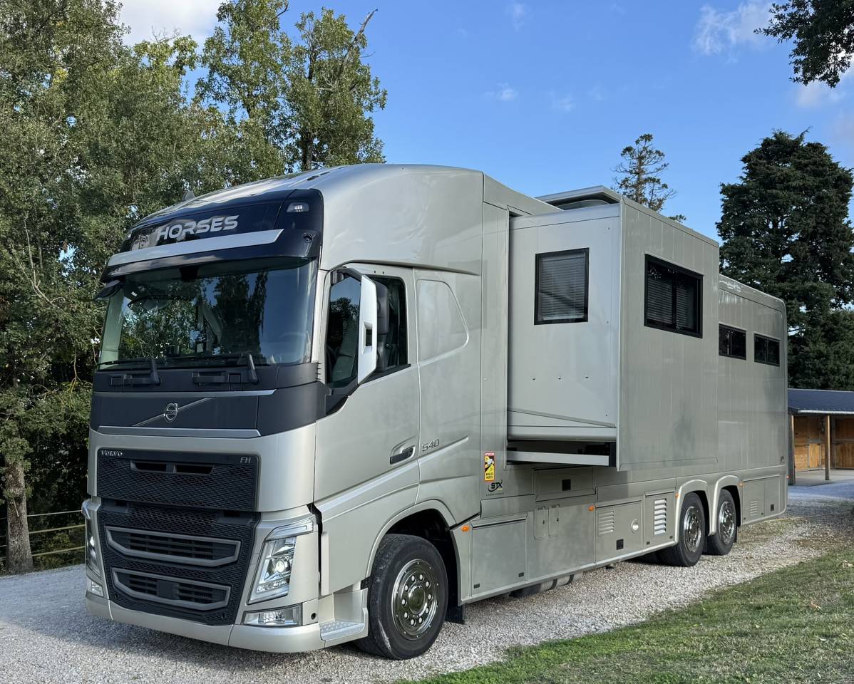 Zware paardenvrachtwagen (groot rijbewijs) STX VOLVO 2020 Tweedehands