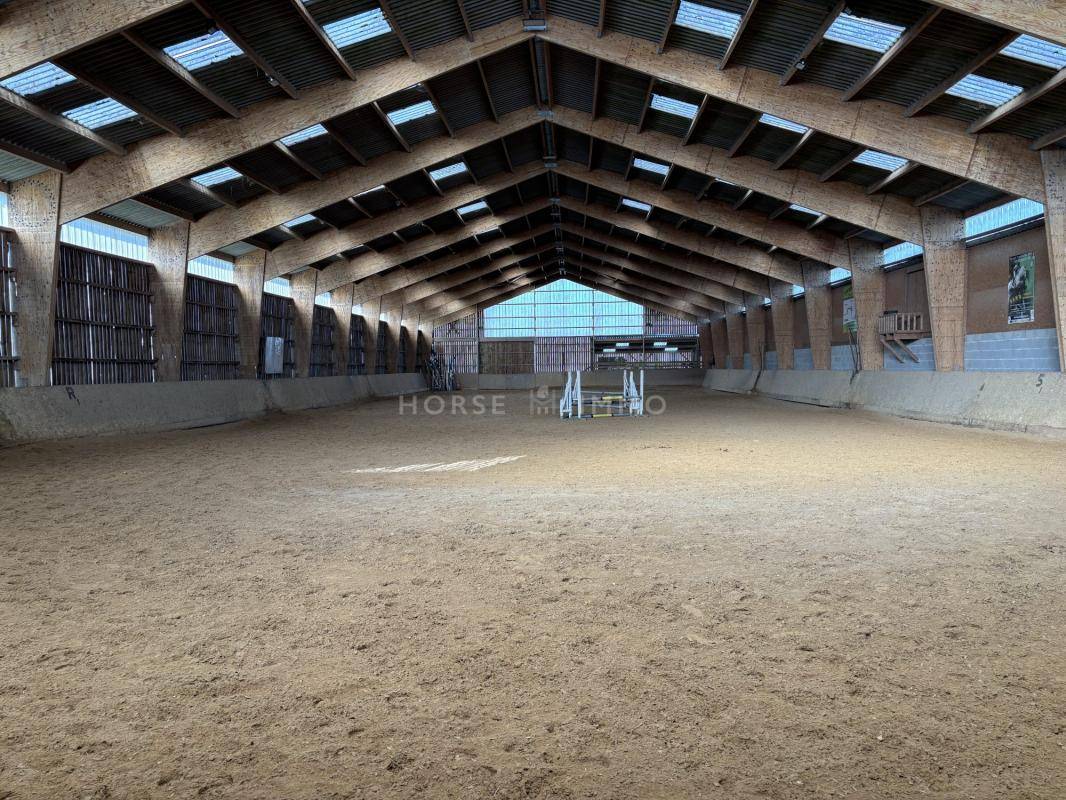 Stoeterij Koop Loire-Atlantique