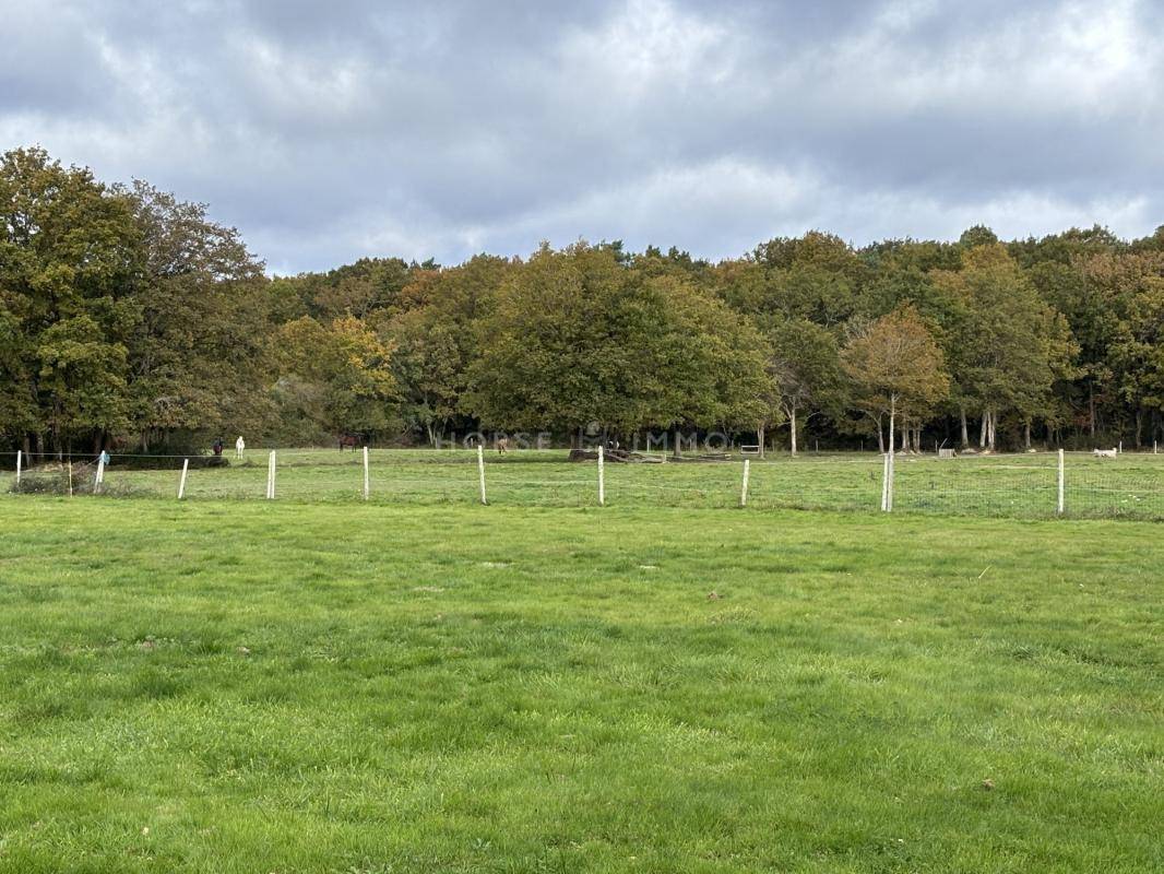 Stoeterij Koop Loire-Atlantique