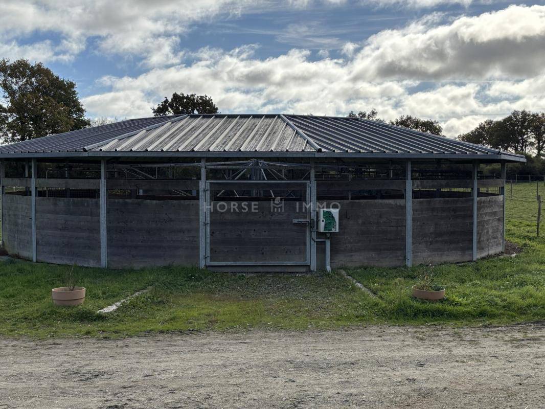 Stoeterij Koop Loire-Atlantique