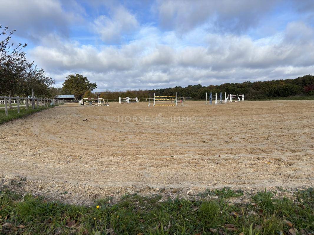 Stoeterij Koop Loire-Atlantique