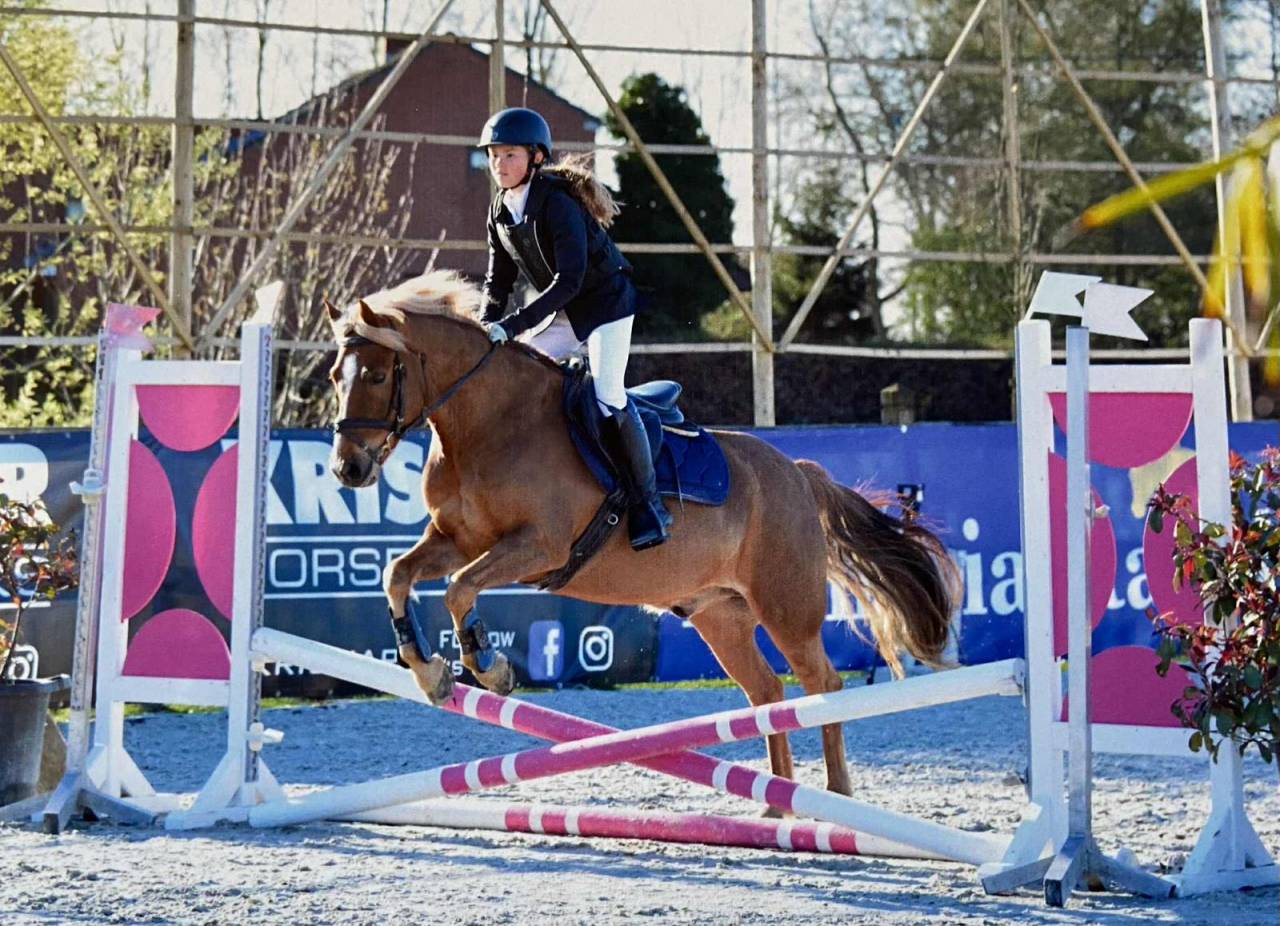 Lieve Ierse sport pony